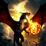 The beauty and danger of dragons
