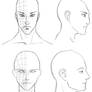 Orthographic Head Drawings