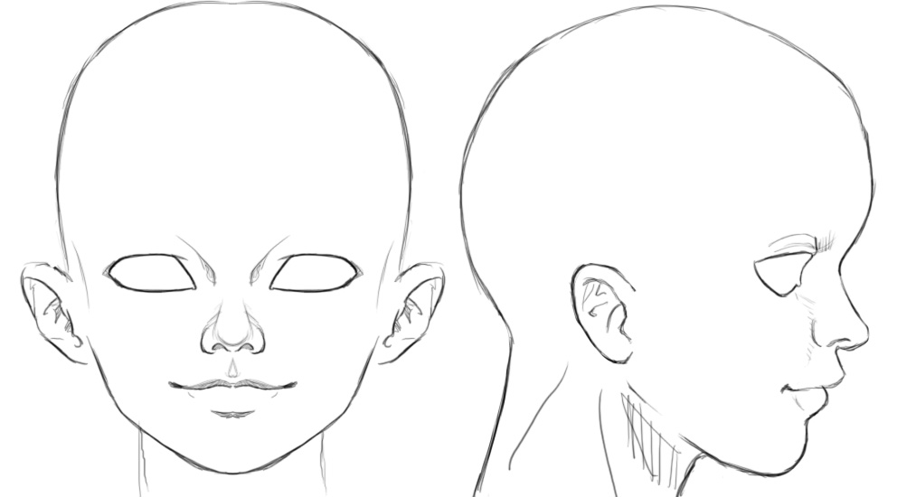 female face reference front and side