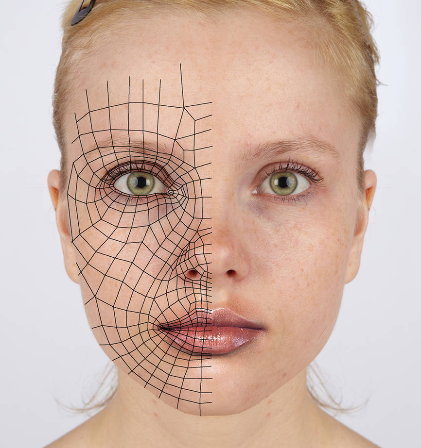 3d reference - face loops by Athey