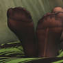 Female Feet in Stockings 4 PT2