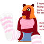 Kimberly's Sock Pet