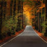 Its a long road