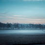 Winter Fog