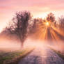Shine on