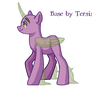 Pony Base 22