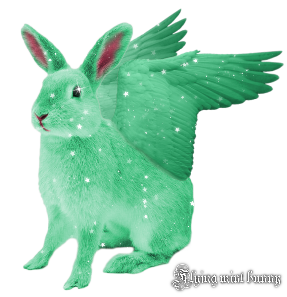 Flying Mint Bunny by Lugia-sea on DeviantArt