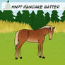 HNPT Pancake Batter