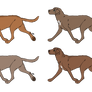 PWYW Chesapeake Bay Retriever Improts 6/6 OPEN