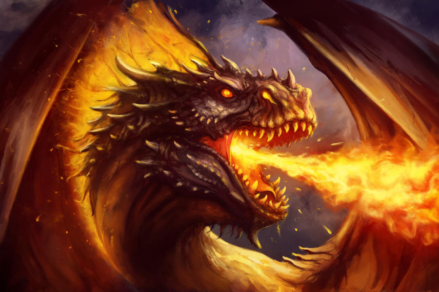 Fire Dragon by PaladinPainter Fire Dragon by PaladinPainter
