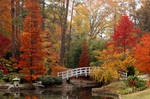 Duke Gardens in the Fall by mentaldragon