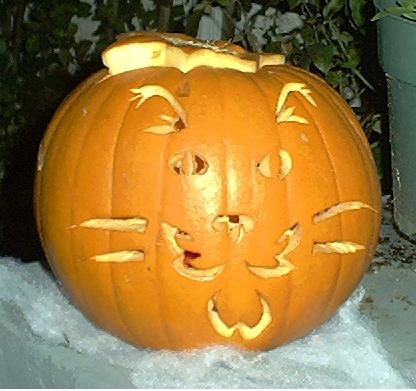 Cat Jack-O-Lantern