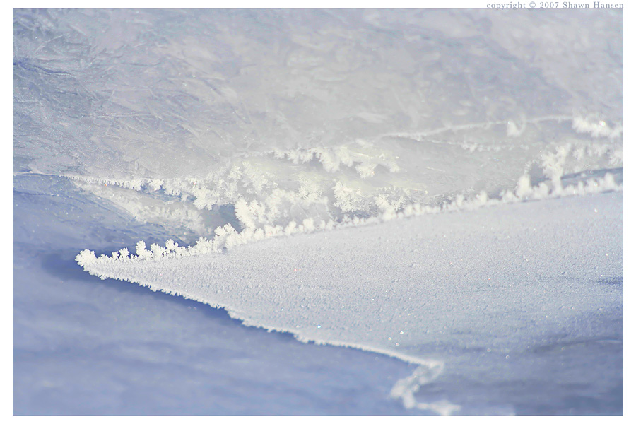 Fissure and Lace