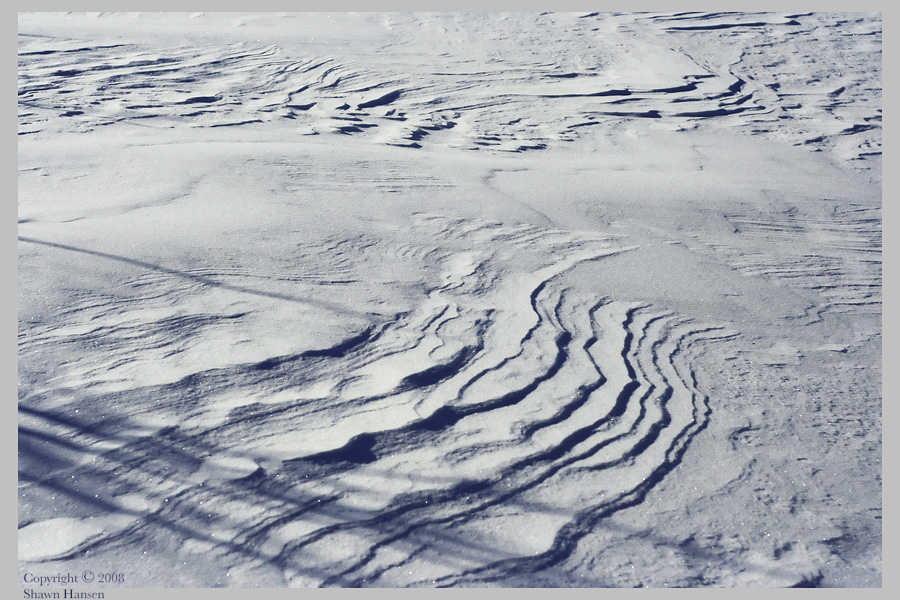 Tracks of Thought