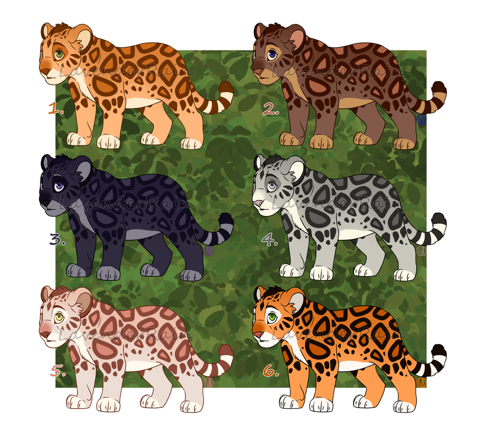 Twinkle Leopard (4/6 Open) TLK Leopard Cub Adopts by LavenderRain17 on DeviantArt