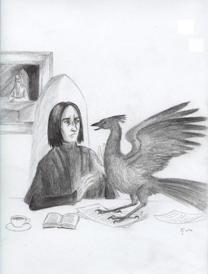 Fawkes loves Severus