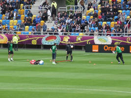 Ireland goalkeepers' training