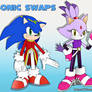 Sonic Swaps | Sonic and Blaze