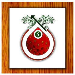 Stawberry Conceptual Logo