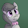 Your daily dose of cute pone