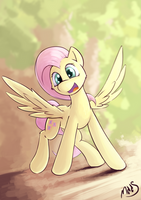 Fluttershy #6