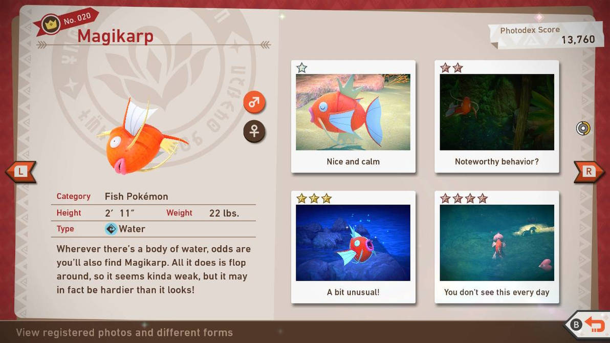 Magicarp Variations Magikarp by AthertonCaitlin1 on DeviantArt