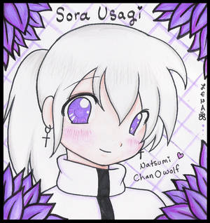 .: Sora Usagi :.
