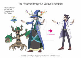 Pokemon Dragon X2 Y2 011