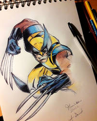 Wolverine