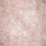 Pink Lace 5571