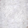 White Lace 5572