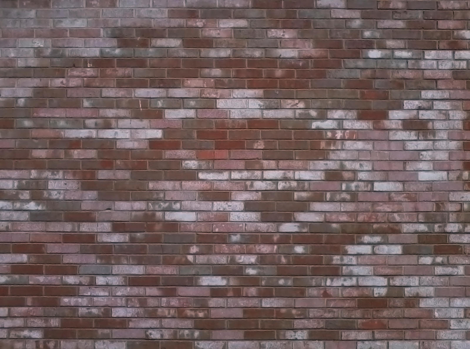 Brick Wall 12