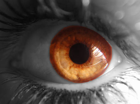 My Eye