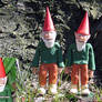 Gnomes