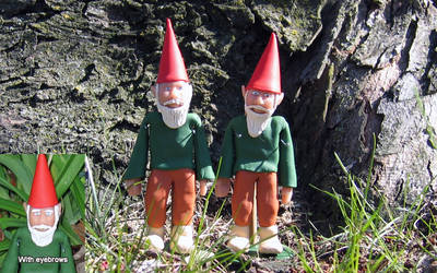 Gnomes