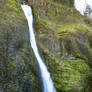 Horsetail Falls