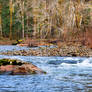 Lewis River