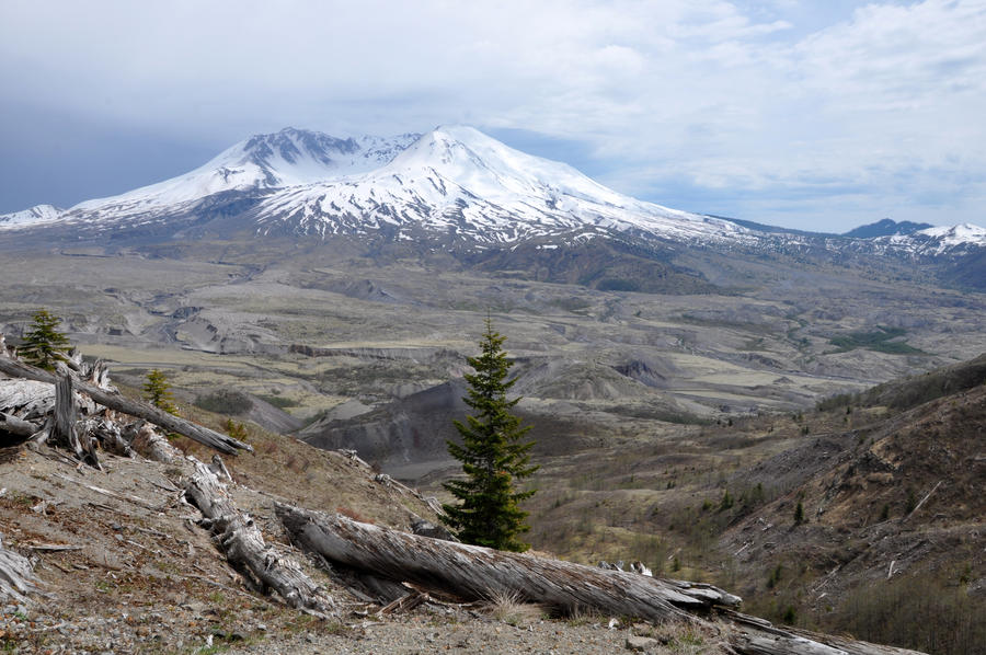 The Mountain by BeachGirlNikita