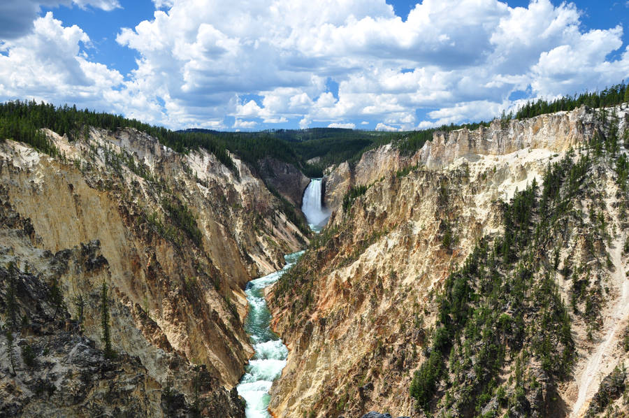 Grand Canyon of Yellowstone by BeachGirlNikita