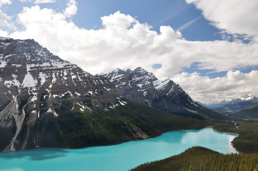 Lake Peyto