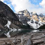 Moraine Lake and Logs