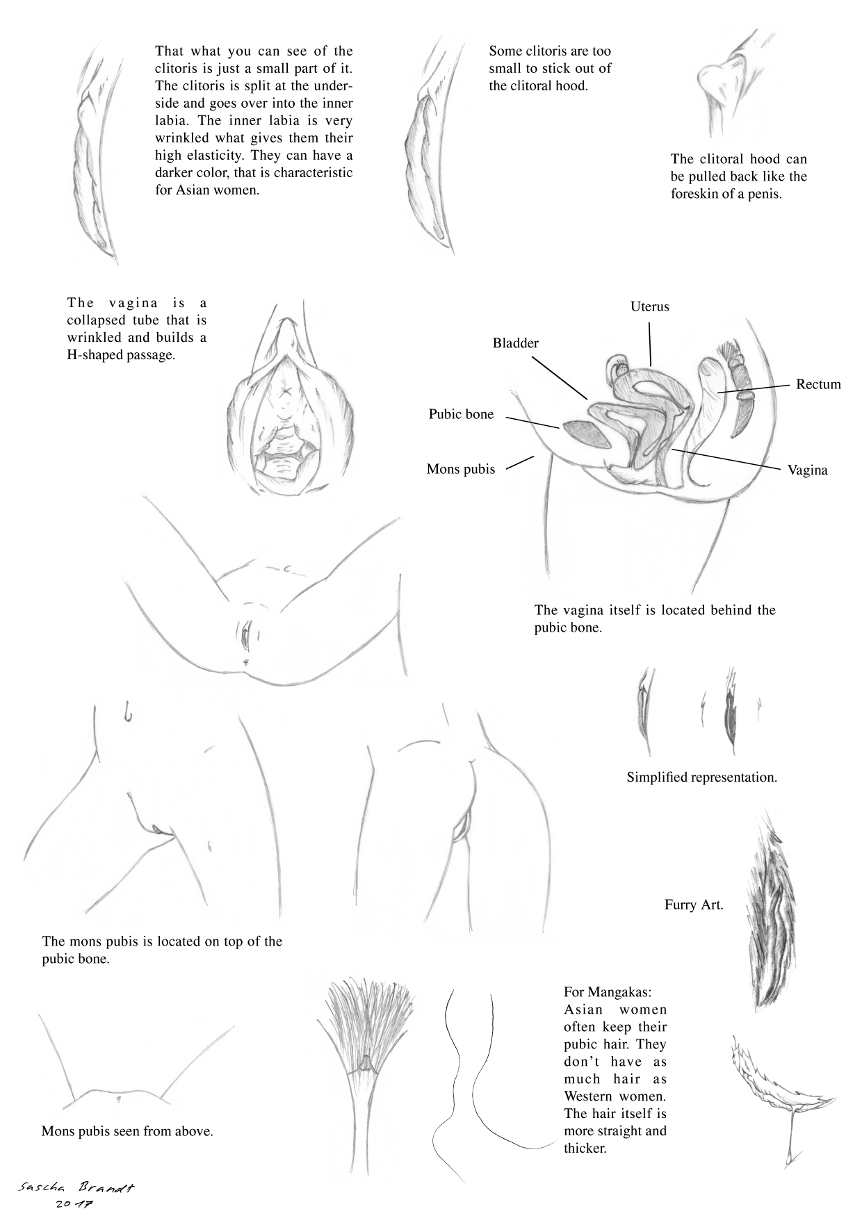 Yosh xitoylik ayol bilan jinsiy aloqa Tiffani Amber Tissenning Xxx fotosuratlari