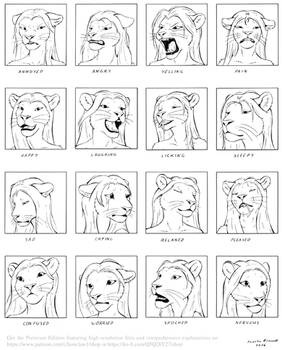 Feline-Expression-Sheet 1280px