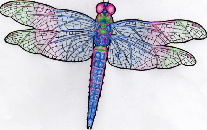 dragonfly tattoo