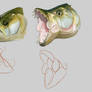 Fish jaw study