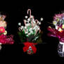 Five Flower Vases