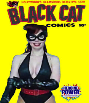 Black Cat (Hahn) Mock Cover