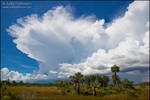 Rainy Season Skies by juddpatterson