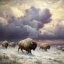 Vintage - Buffalo