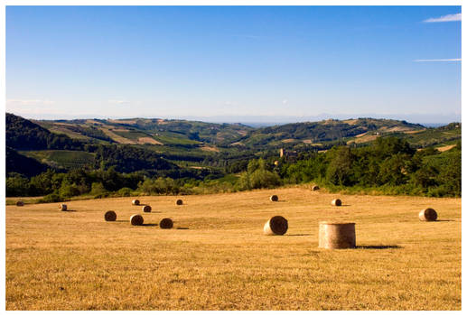 Bales of hay